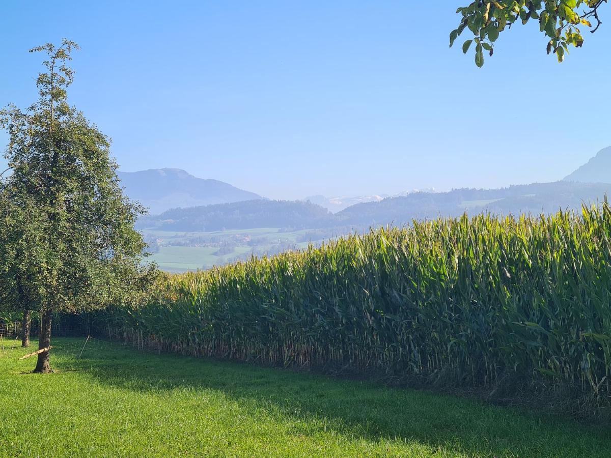 Familiy & Kids Suite Im Herzen Der Schweiz Dietwil Dış mekan fotoğraf